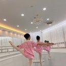 그랑레브세종발레학원 이미지