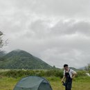 킹프림 애견샵 이미지