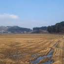 산정마을 농로 이미지