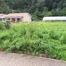 고동영공인중개사사무소 이미지