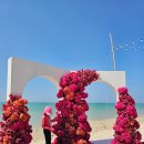 산호체육관 | 태국 카오락 르 메르디앙 리조트 시설 키즈 클럽 선셋 후기