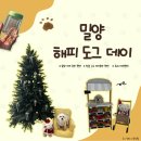 해피 도그 데이 이미지