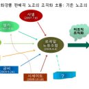 금비 노동조합 이미지