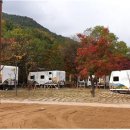설악동자동차야영장 이미지