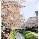 모전천 이미지