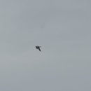 라비치호텔 이미지