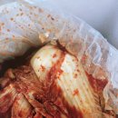 김치타운 | 김치타운김치가 주문배송 솔직 후기