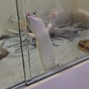 고산골 입구(상동교 근처) | 대구이색카페 앞산파충류카페 봉덕동 밀림