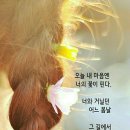 풀꽃향기 이미지