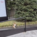 더멍멍컴퍼니 | [관극기록] 뮤지컬 <라이카> 나하나 윤나무 서동진 백은혜 | 두산아트센터 연강홀 2층 3열 시야