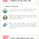엔젤스톤인터내셔날