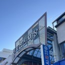 이복자할매김치찌개&김치찜 | 종로 5가 동대문 맛집, 불꼬지백반 김치오뎅볶음 아침밥으로 추천 송정식당