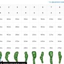 세인트 골프존 이미지