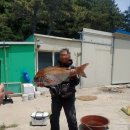 강림민박 이미지