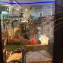 워시엔조이셀프빨래방진주 - 진주시 공단로 26 | 워시엔조이셀프빨래방진주