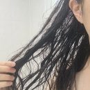 르떼 | [르떼] 인플루언서 내화님의 트린트먼트 사용 솔직 후기ෆㅣ손상모 케어