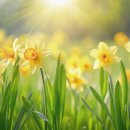 힐링 홈카페 이미지