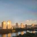 시네마 뮤지컬 갈라콘서트 이미지