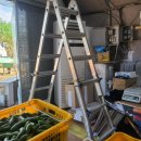 일권농장 이미지