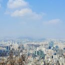 우면산3-20 이미지