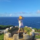 대왕카정비 이미지