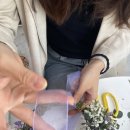 리플로라 이미지