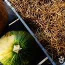 장익는 마을 이미지