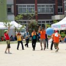 내기초등학교 이미지