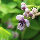 원더풀데이 이미지