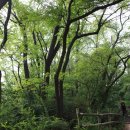 도봉-도봉-서울도봉-2090 이미지