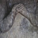 도곡리 석조여래좌상(道谷里 石造如來坐像) | 영양 도곡리 석조여래좌상(英陽 道谷里 石造如來坐像).경북