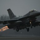 독일 남부에서 미 공군의 F-16 추락 승무원은 무사히 탈출 이미지