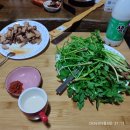 미나리 철 이미지