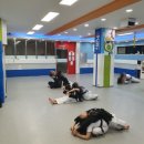 창신태권도 이미지