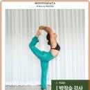 바디소나타 이미지