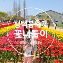 평택꽃축제 &#39;2024 평택꽃나들이&#39; 축제현장(농업생태원)