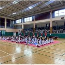 브레인박사 태권도장 | 창원태권도장 브레인박사태권도장에서의 놀라운 변화 경험 후기