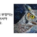 미네르바의부엉이 이미지