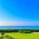 예산-23 | 이시가키 정리✈️ 이시가키 3박 4일 with 23개월 아기 👶🏻예산(총경비)·꿀팁·후기 총정리