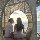 스타비치 이미지