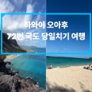 커피앤샌디 | 국도 당일치기 코스 (라나이 룩아웃 전망대, 블로우홀, 샌디비치, 마카푸우 포인트 전망대, 카일루아...