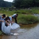 공공용 39 이미지