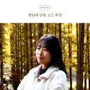 양어장휴게소 | 청남대 가을 축제 후기 단풍 피크닉 트래킹 코스 추천 예약 주차장 입장료 애견
