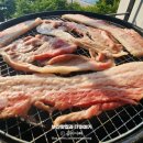 생각속의집 민트동 이미지