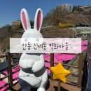 마을벽화 | 요즘 뜨는 여행 명소 핑크지붕이 매력적인 안동 신세동 벽화마을