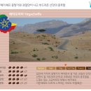 한동커피 네이버블로그