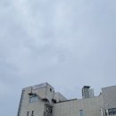 새여울초등학교 | 대전 대형카페 라운지티 대전 소금빵과 홍국쌀식빵이 맛있는 카페