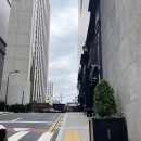 서울 애프터눈티 레스케이프 호텔 팔레드신 애프터눈티세트 후기