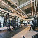 겟바디핏 이미지