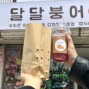 달달붕어 이미지